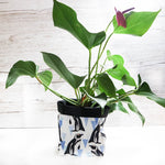 African Penguin Textile Plant Pot Storage Basket by The Owlery