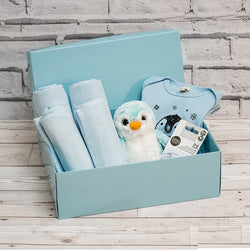 Deluxe Babygrow & Soft Toy Baby Gift Box in Blue