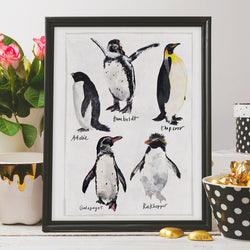 Types of Penguin Print by Abby Cook Illustration