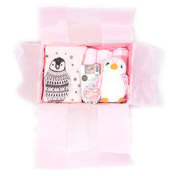 Deluxe Babygrow & Soft Toy Baby Gift Box in Pink