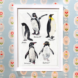 Types of Penguin Print by Abby Cook Illustration